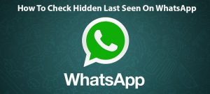 Cómo verificar lo oculto visto por última vez en WhatsApp [Guide]