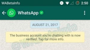 WhatsApp pronto tendrá cuentas comerciales verificadas como Facebook y Twitter